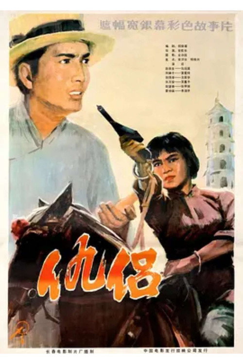 仇侣 poster