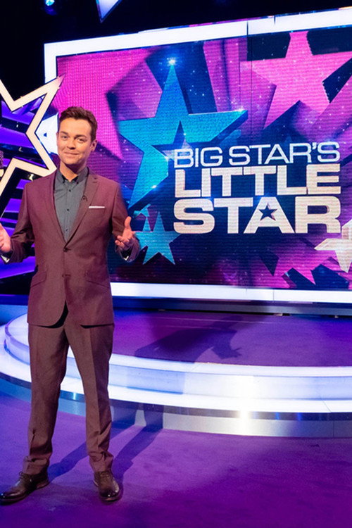 Big Star's Little Star poster