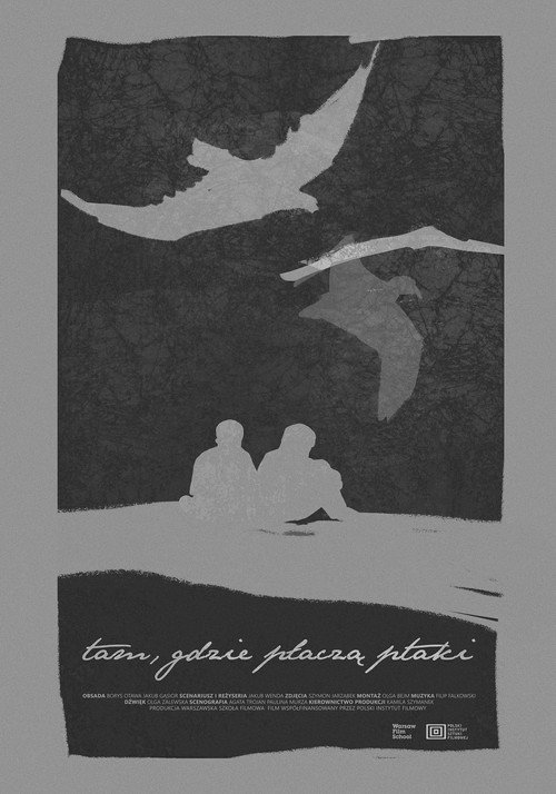 Where the Birds Cry poster