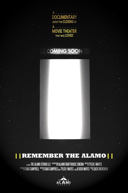 Remember the Alamo poster