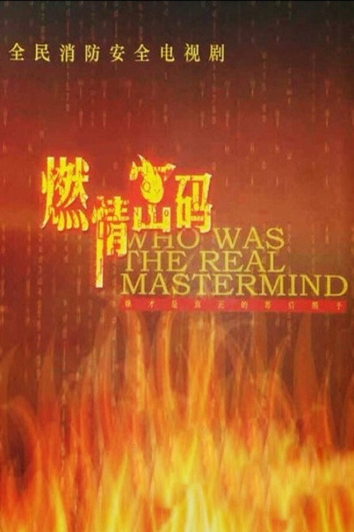 Who Was the Real Mastermind poster