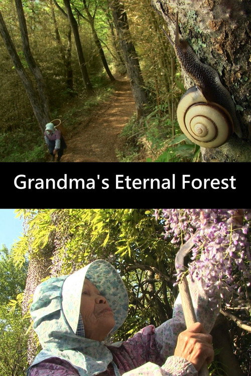 Grandma's Eternal Forest poster