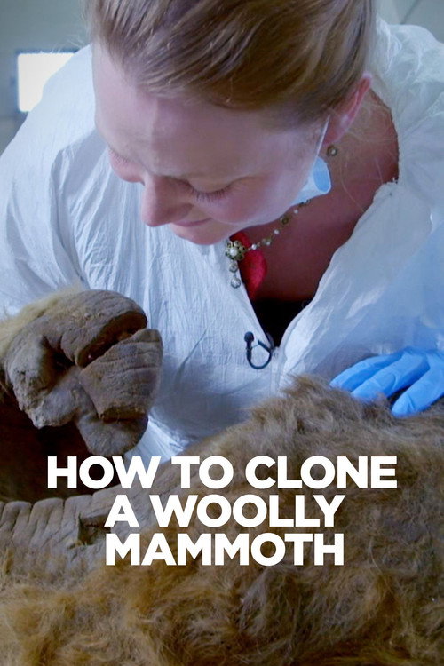How To Clone A Woolly Mammoth poster