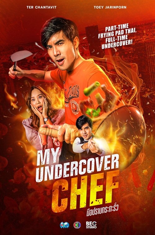 My Undercover Chef poster