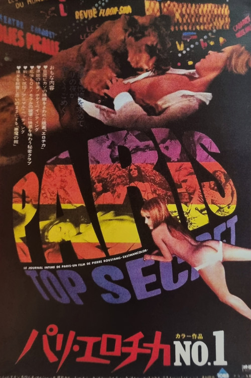 Paris top secret poster