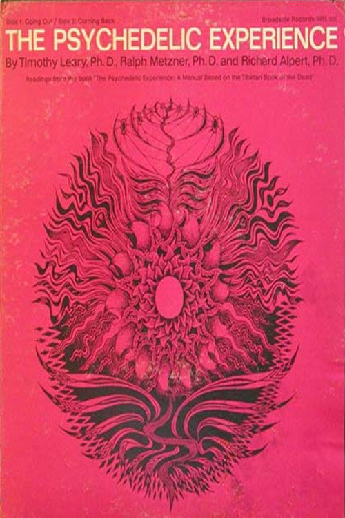 The Psychedelic Experience poster