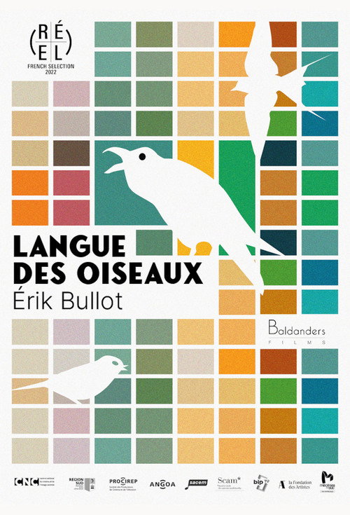 Language of Birds poster