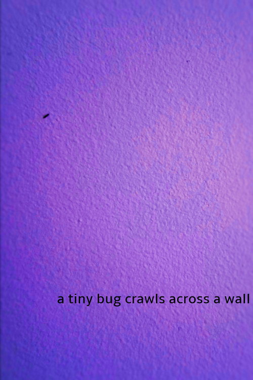 a tiny bug crawls across a wall poster