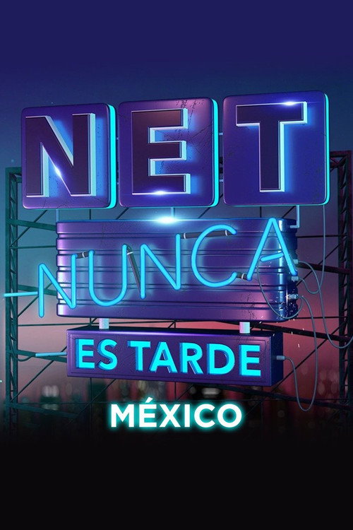 Nunca es tarde poster