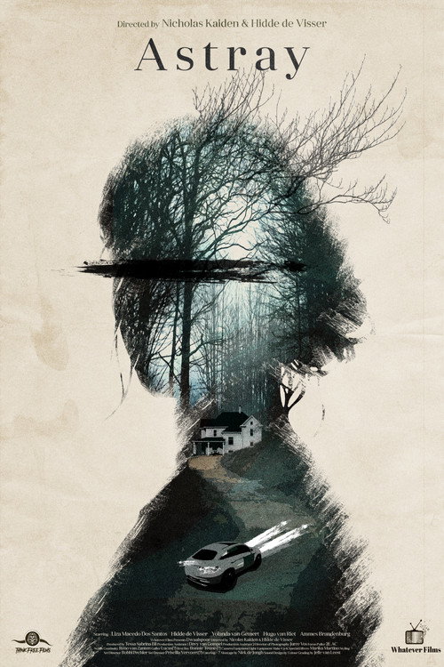 Astray poster