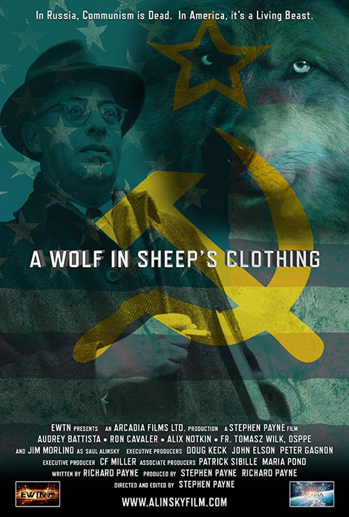 A Wolf in Sheep's Clothing poster