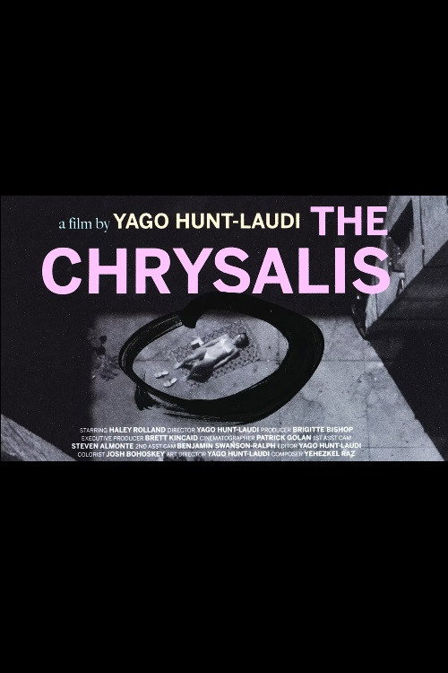 The Chrysalis poster