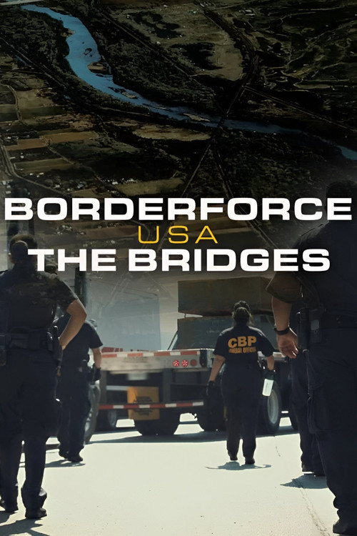 Borderforce USA: The Bridges poster