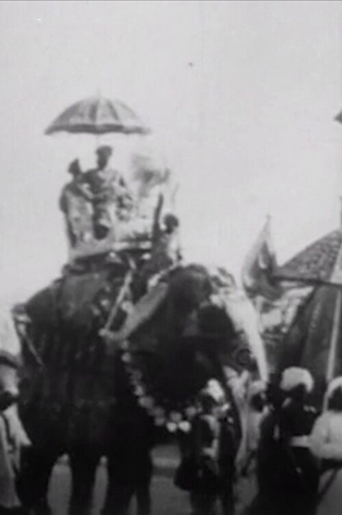 Procession of Elephants with Howdahs - India poster