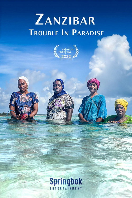 Zanzibar: Trouble in Paradise poster