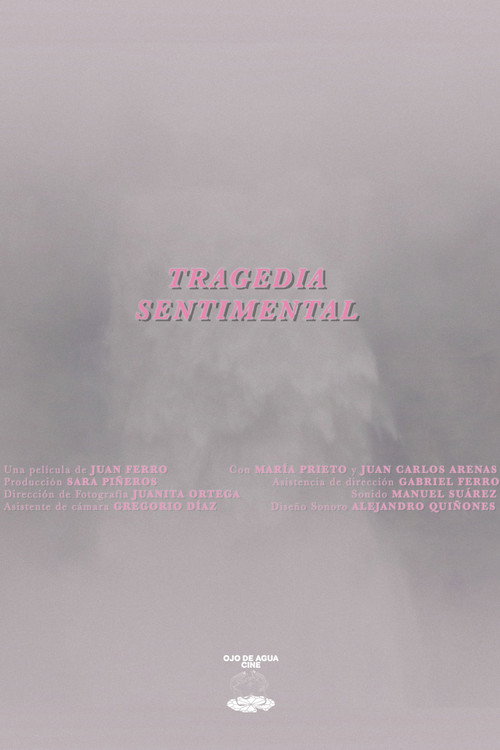 A Sentimental Tragedy poster