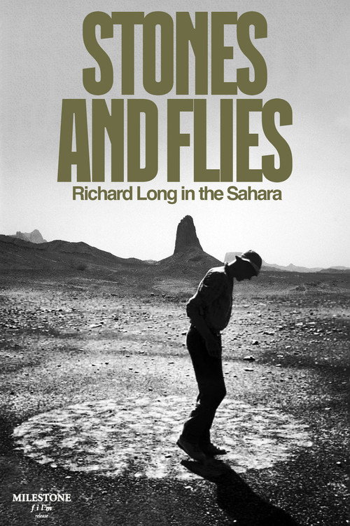 Stones and Flies: Richard Long in the Sahara poster