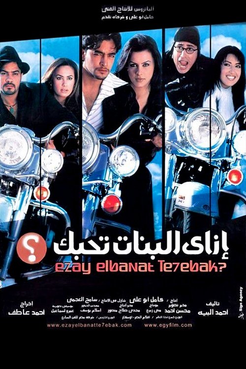 How to Get Girls to Fall for You poster