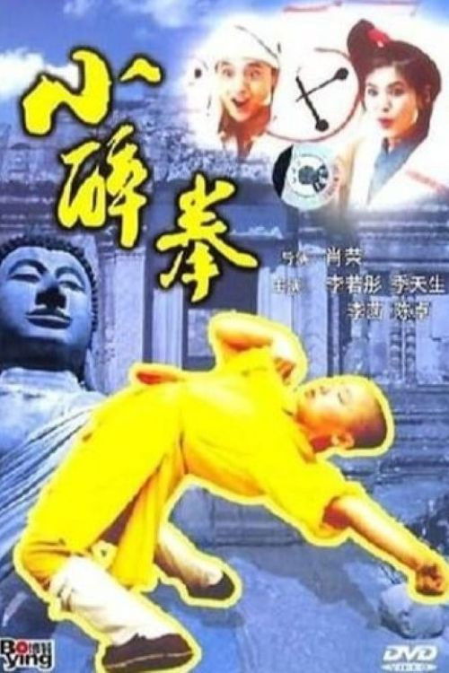 The Little Drunken Masters poster