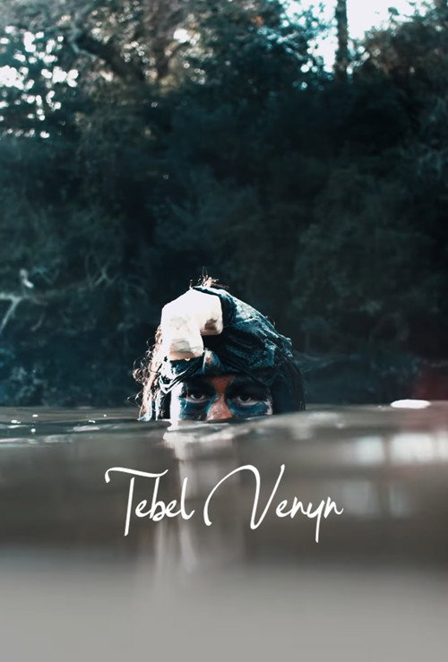 Tebel Venyn poster