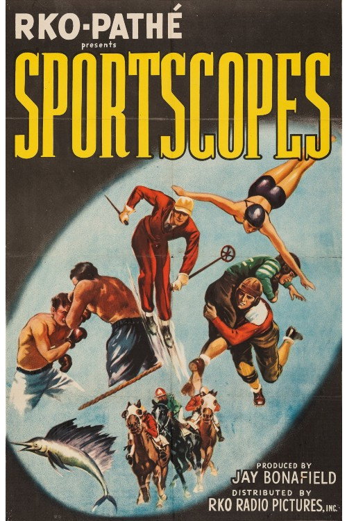 Gym College poster