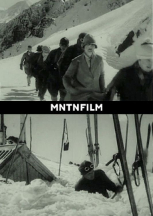 Snowdrift poster