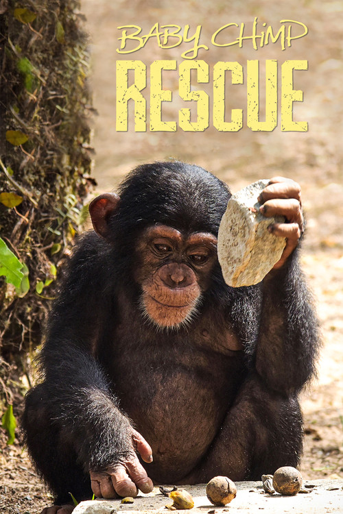 Baby Chimp Rescue poster