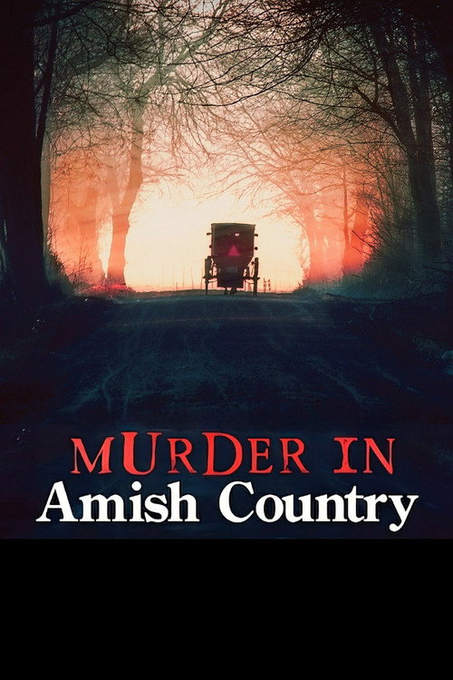 Murder in Amish Country poster