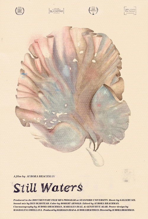 Still Waters poster