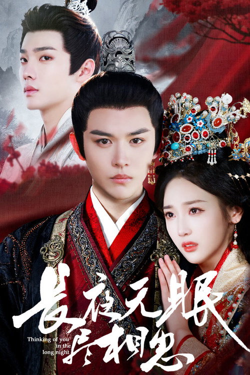 长夜无眠尽相思 poster