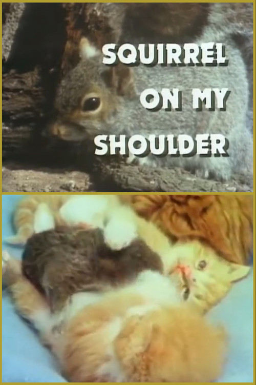Squirrel on My Shoulder poster