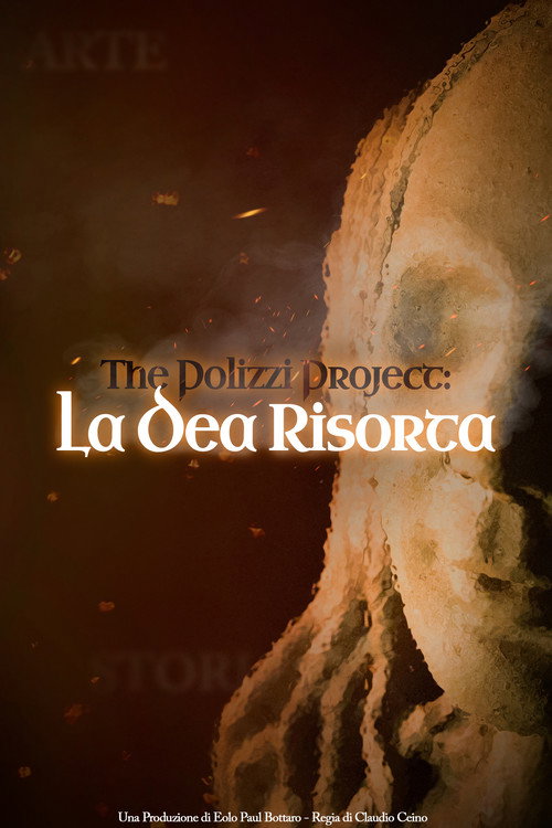 The Polizzi Project poster