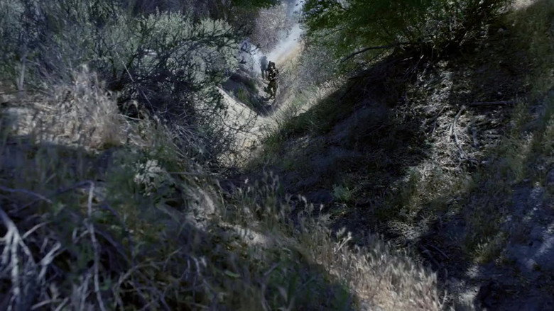 Alien Predator still 2