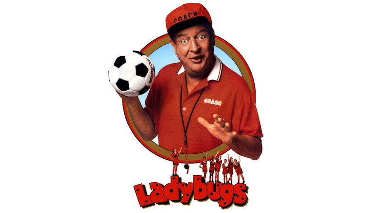 Ladybugs still 4