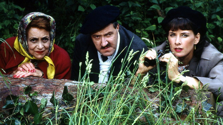 'Allo 'Allo! still 3