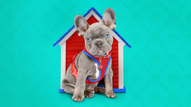 The Dog House still 3