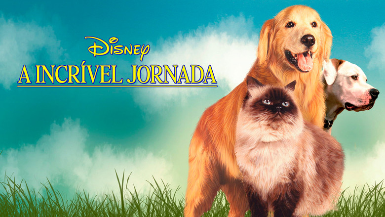 Homeward Bound: The Incredible Journey still 4