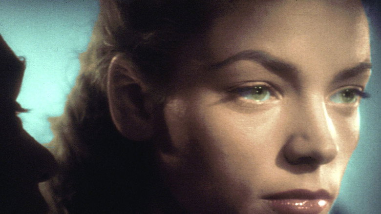 Lauren Bacall, ombre et lumière still 3