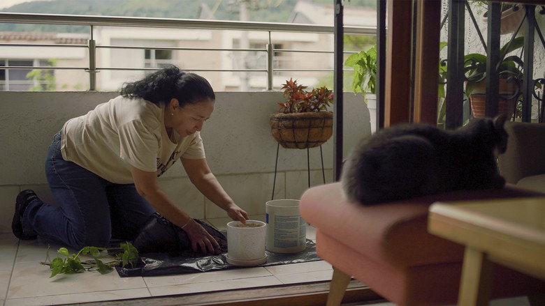 Cuidado de una Orquidea still 2
