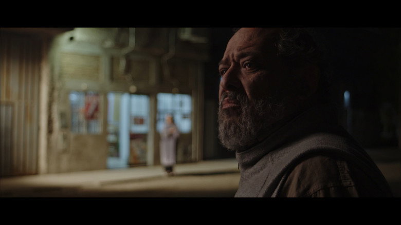 Wastelands still 8