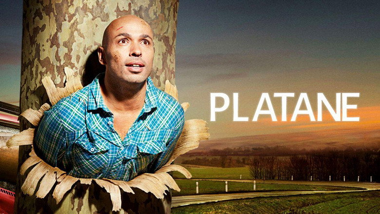 Platane still 2