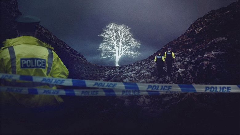 The Sycamore Gap Mystery still 1