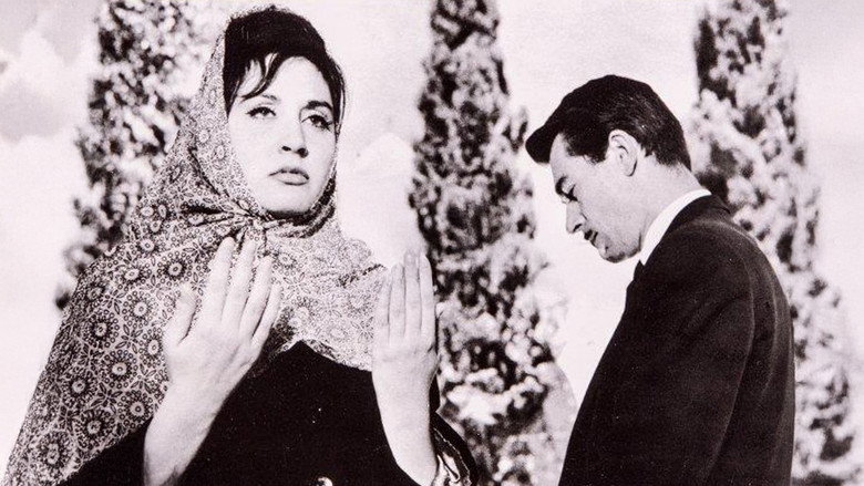 Erkek Ali still 1