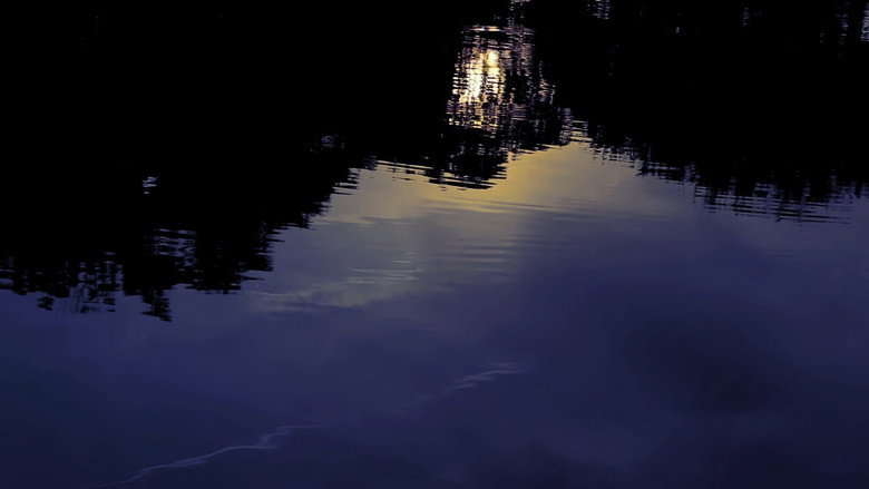 Denomination: Sorrow still 1