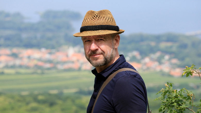 Krajinou vína still 1