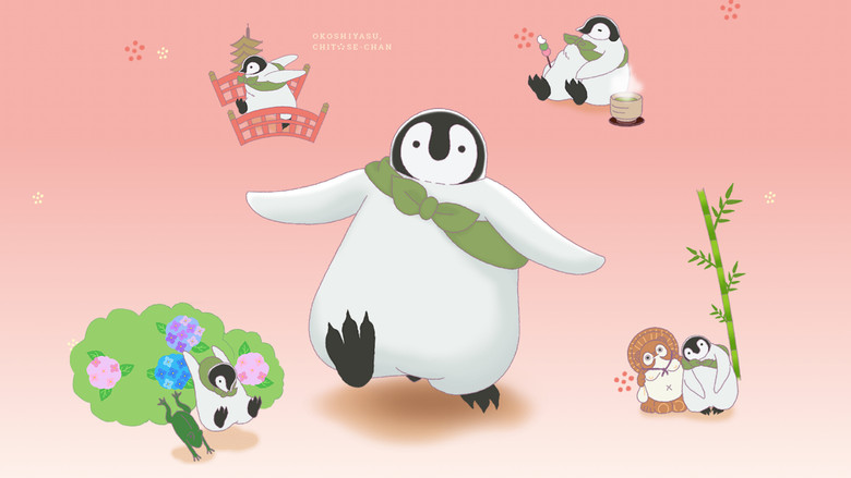 Welcome, Chitose-chan still 1