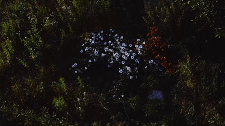 Wild Feast still 3