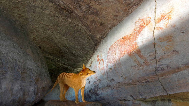 Tiger on the Rocks still 2