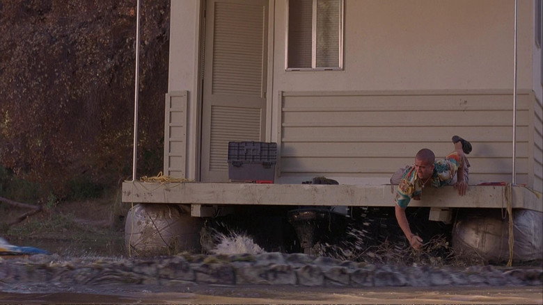 Crocodile still 6