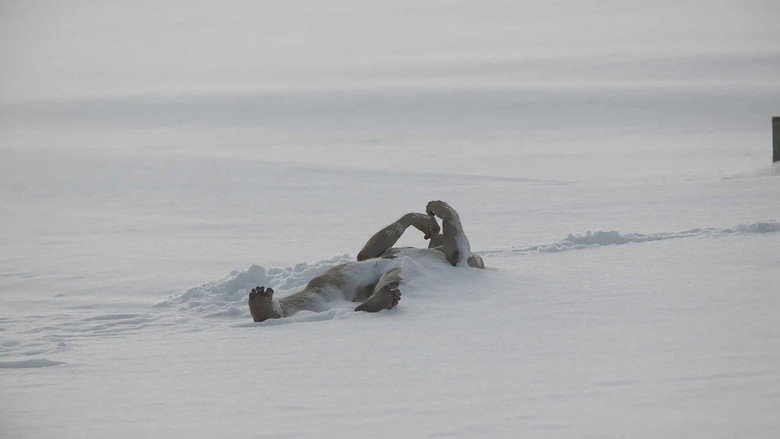 The Last Winter still 4